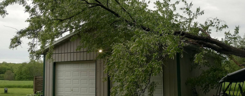 A downed tree resting on power lines after a storm in Western New York, showing a dangerous emergency near a home.
