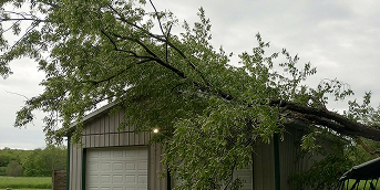 emergency and fallen tree service