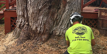 stump grinding and removal